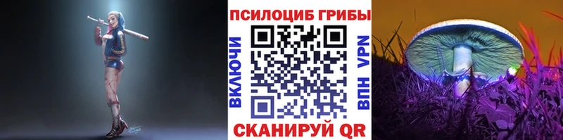 Галлюциногенные грибы Psilocybe  цена наркотик  Сусуман 